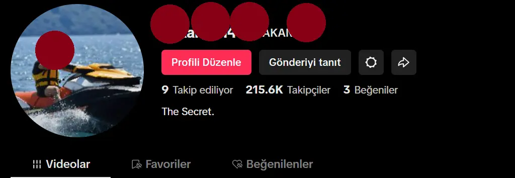 215K Takipçili TikTok Sayfası | Aktif | Organik Kitle